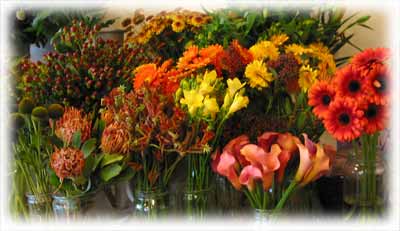 altid friske blomster til buketter